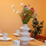 Stellar Female Hostel